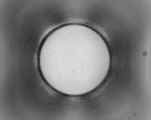 X0000101110936200807241132