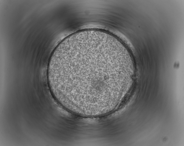 X0000101110937200807241132