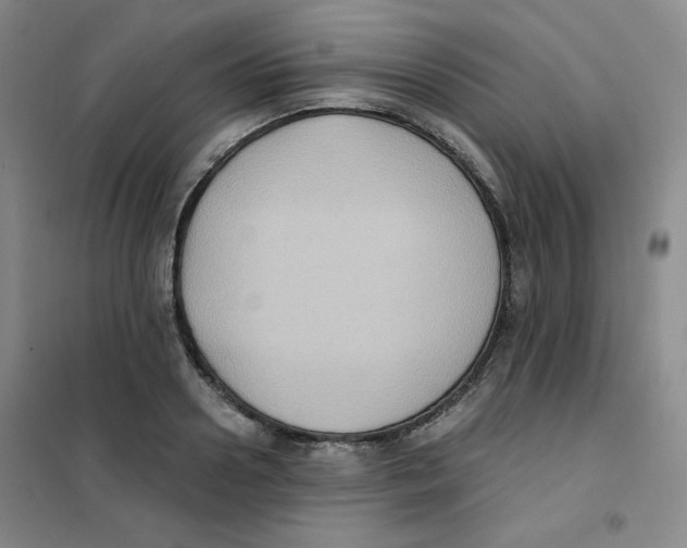 X0000101110938200807241132