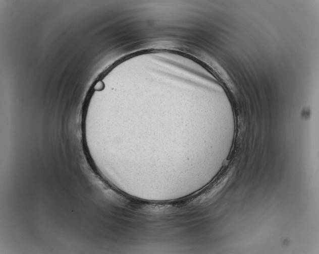 X0000101110939200807241132