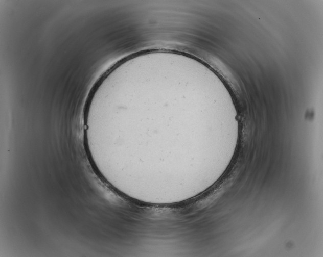 X0000101110940200807241132