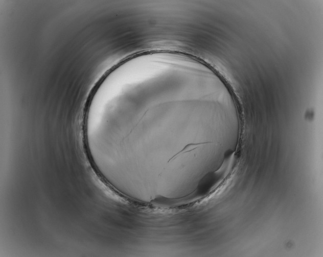 X0000101110941200807241132