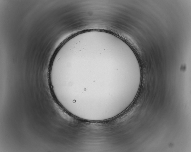 X0000101110942200807241132