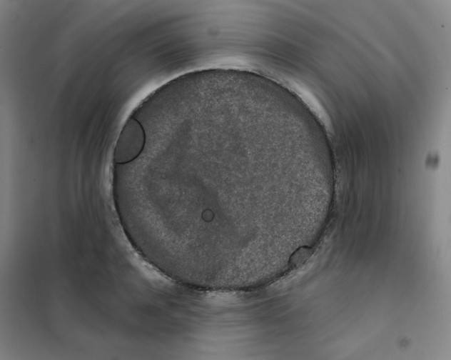 X0000101110944200807241132
