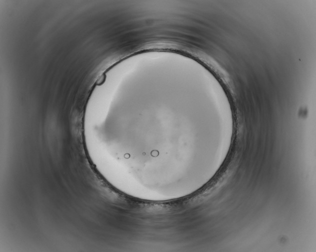 X0000101110945200807241132
