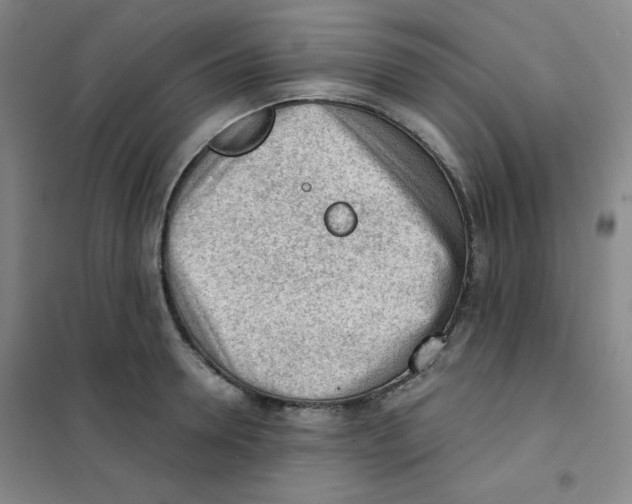 X0000101110946200807241132