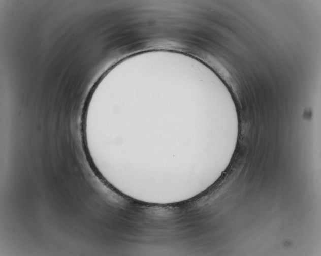 X0000101110947200807241132