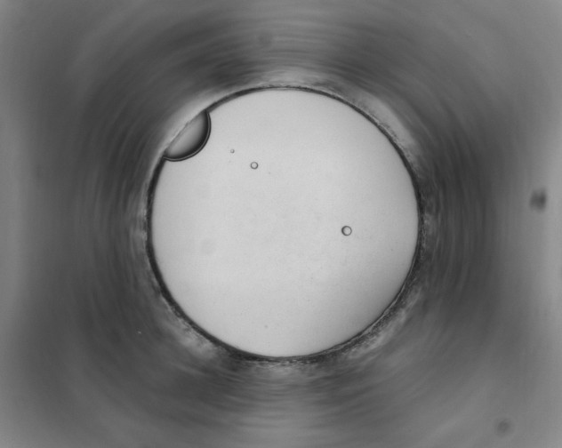 X0000101110948200807241132