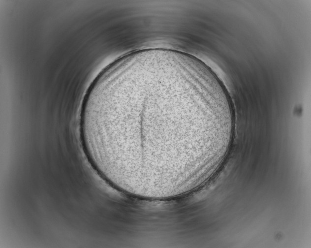 X0000101110949200807241132