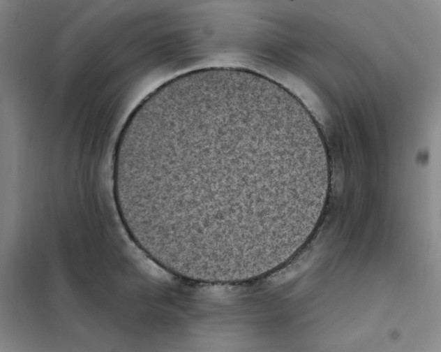 X0000101110950200807241132