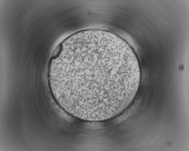 X0000101110952200807241132