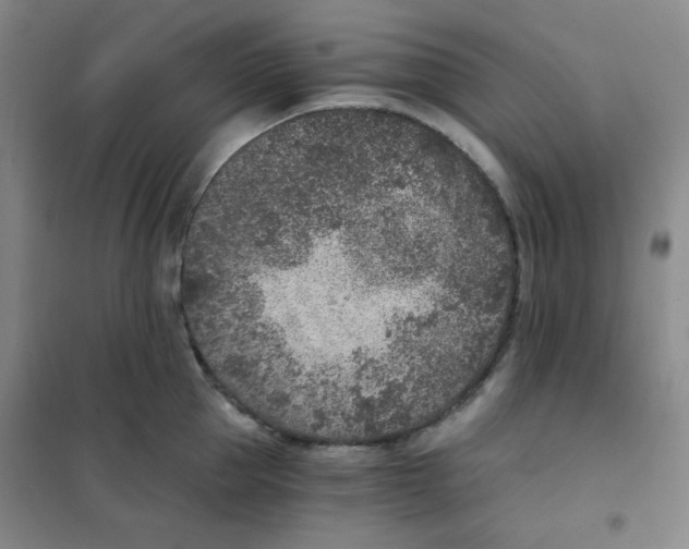 X0000101110953200807241132