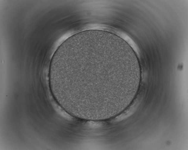 X0000101110954200807241132
