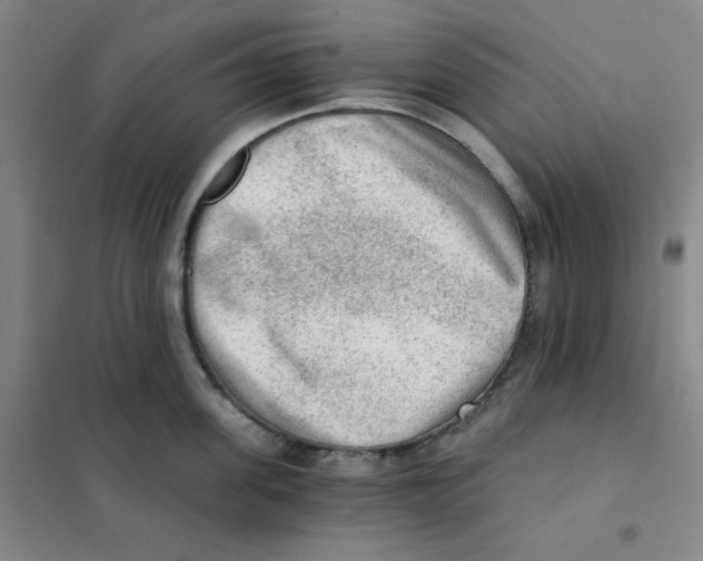 X0000101110955200807241132