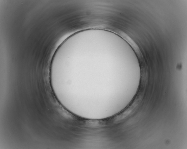 X0000101110956200807241132