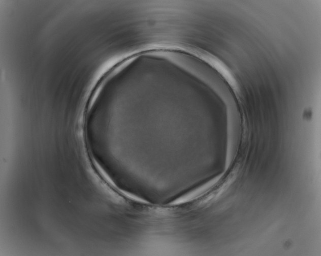 X0000101110958200807241132