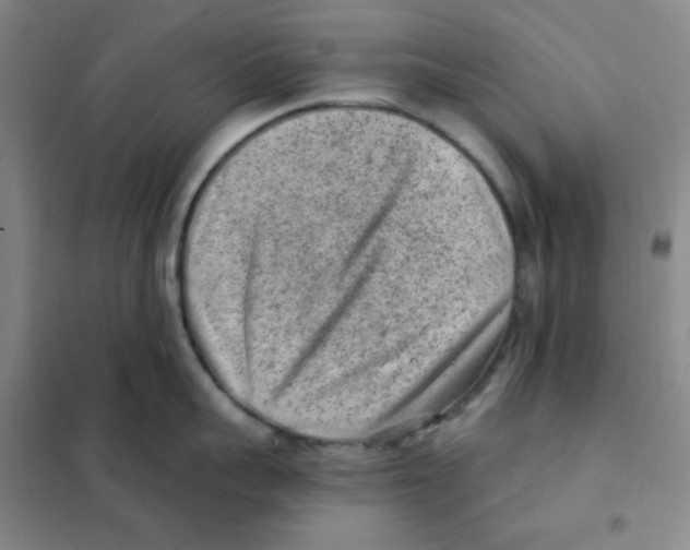 X0000101110959200807241132