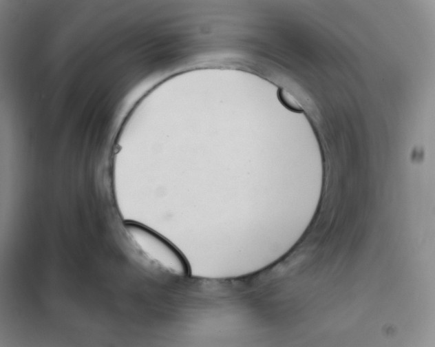 X0000101110960200807241132