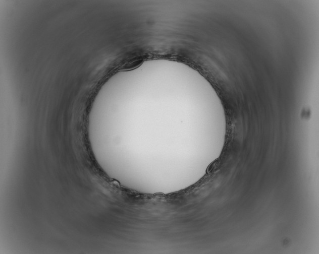X0000101110961200807241132