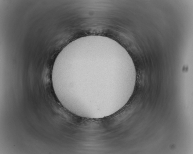 X0000101110962200807241132