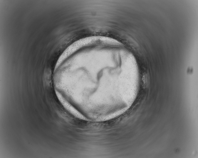 X0000101110963200807241132
