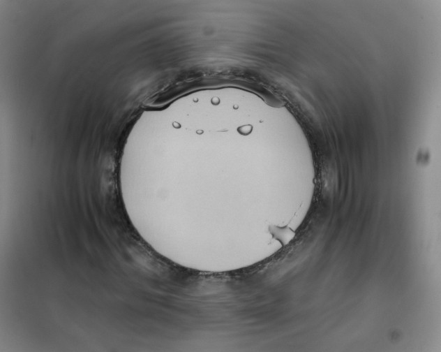 X0000101110964200807241132