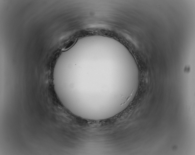 X0000101110965200807241132