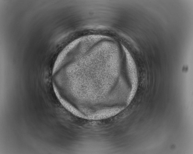 X0000101110966200807241132