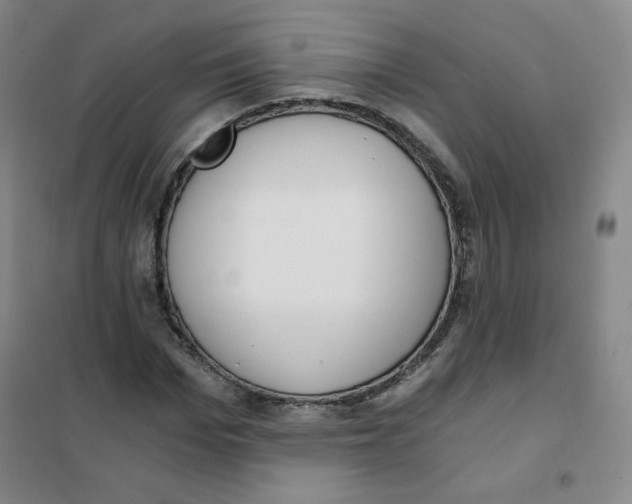 X0000101110969200807241132