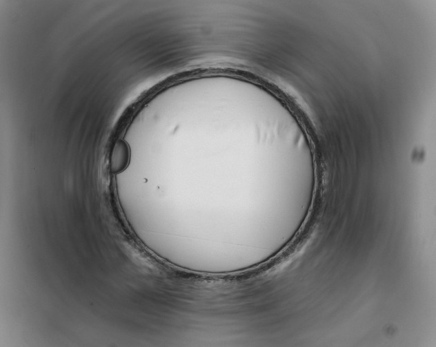 X0000101110973200807241132