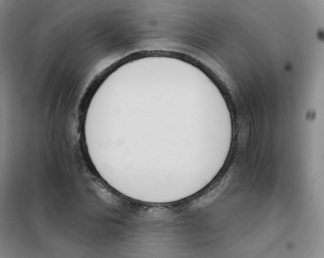 X0000101110974200807241131