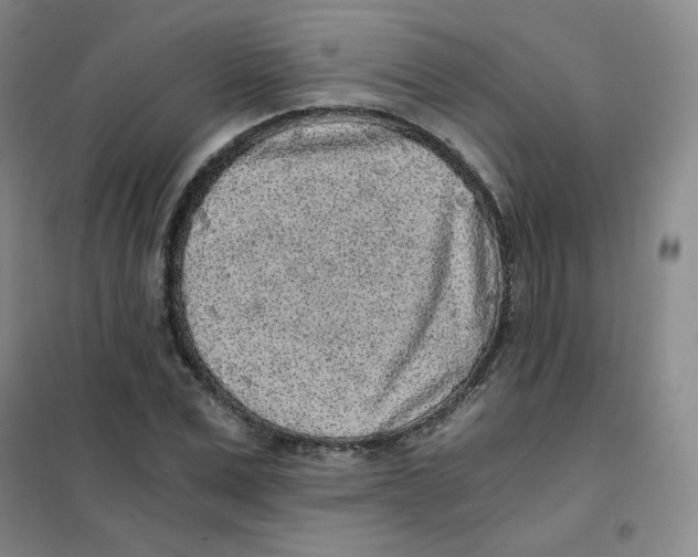 X0000101110975200807241131