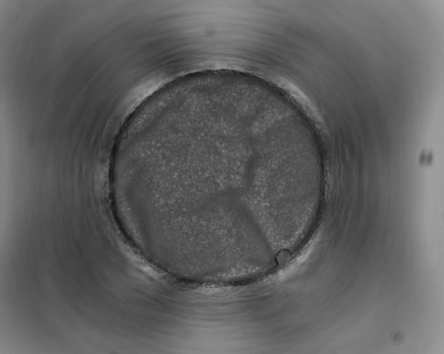 X0000101110977200807241131