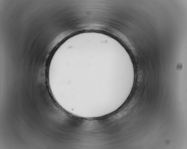 X0000101110978200807241131