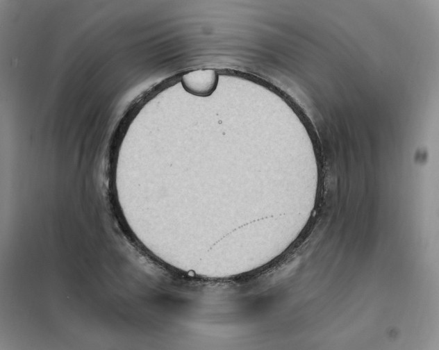 X0000101110979200807241131