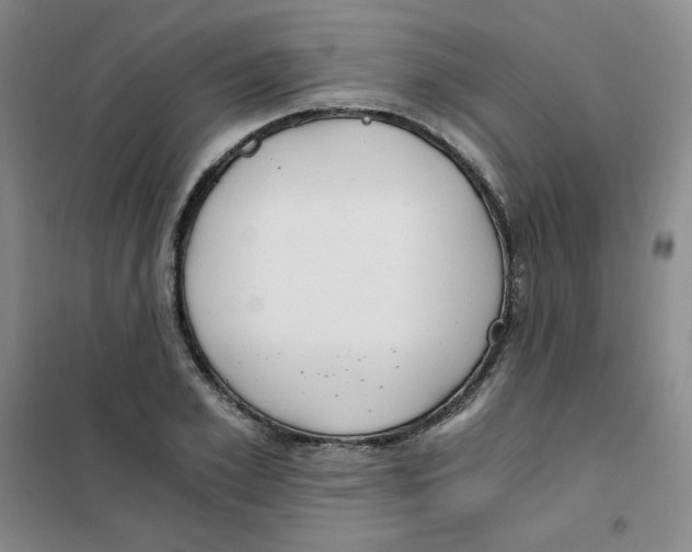 X0000101110981200807241131