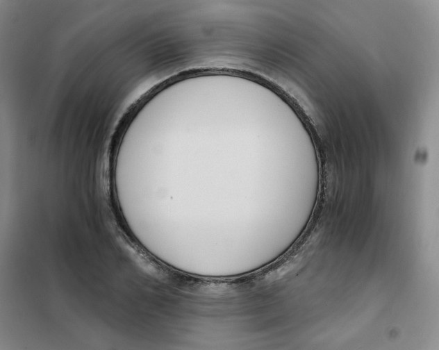 X0000101110982200807241131