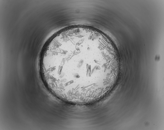 X0000101110983200807241131