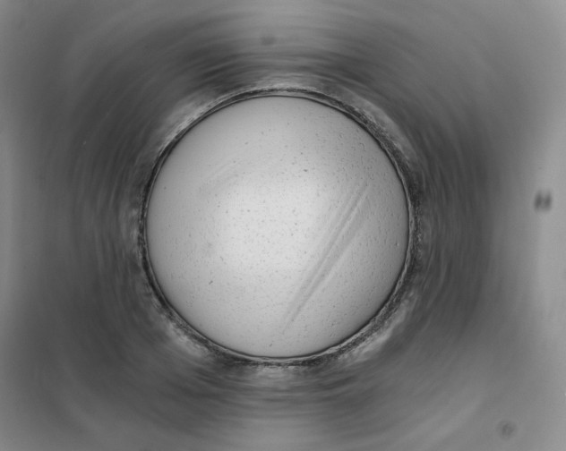 X0000101110985200807241131