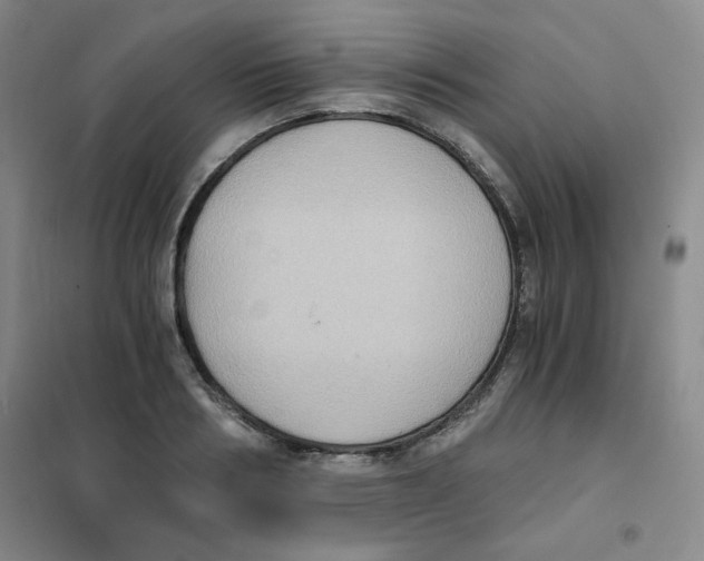 X0000101110986200807241131