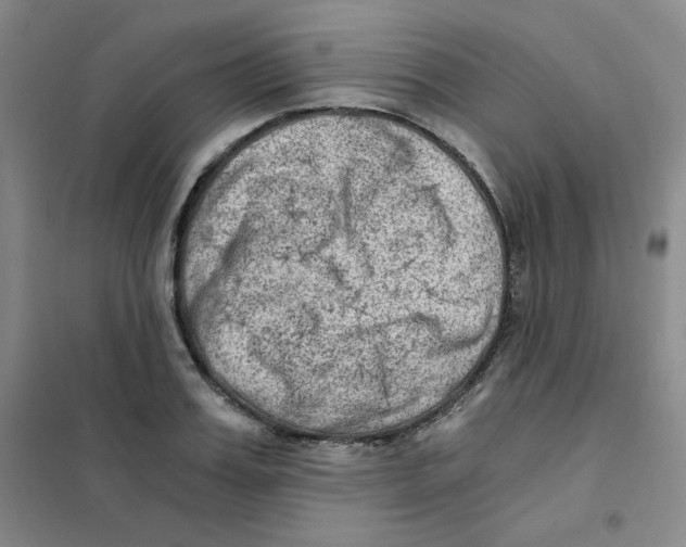 X0000101110987200807241131