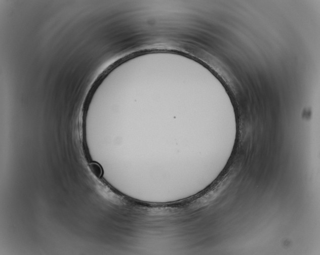 X0000101110988200807241131