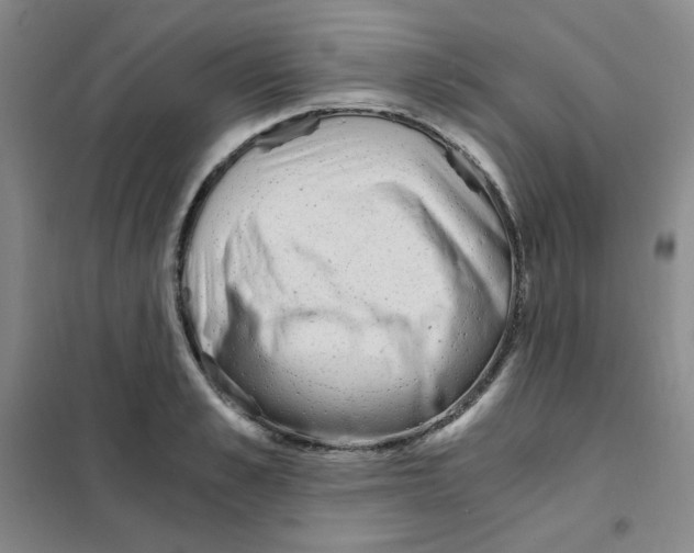 X0000101110989200807241131