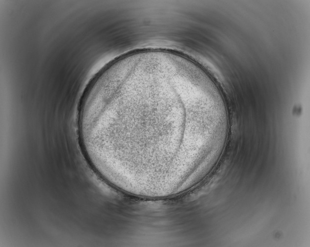 X0000101110990200807241131