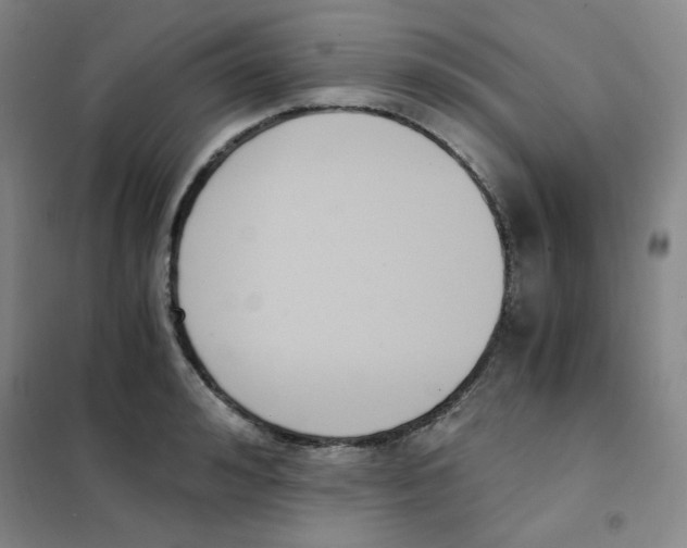 X0000101110992200807241131