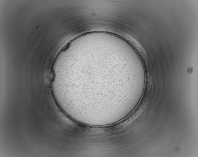 X0000101110993200807241131
