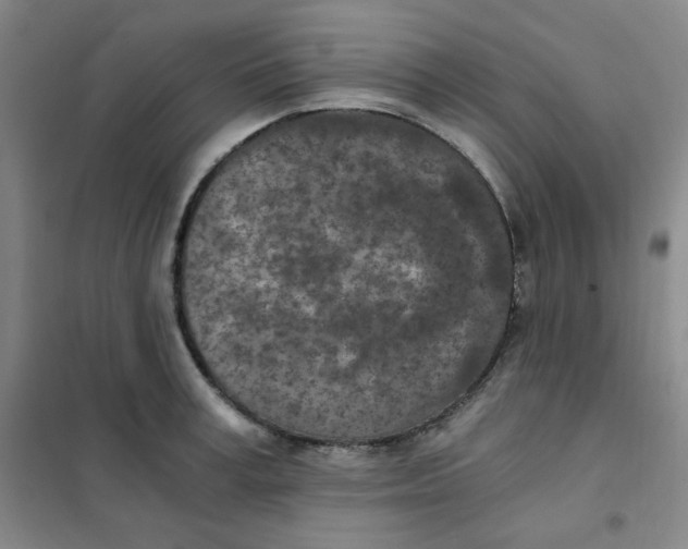 X0000101110995200807241131