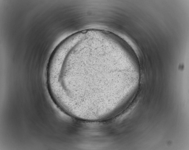 X0000101110999200807241131