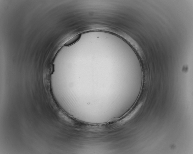 X0000101111001200807241131