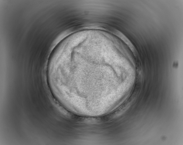 X0000101111002200807241131
